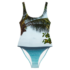 Retreat One-Piece Swimsuit in Rincon