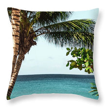 Load image into Gallery viewer, Rincon - Throw Pillow